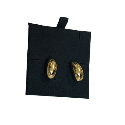 Teardrop Gold Earrings Stainless Steel Earrings for Women